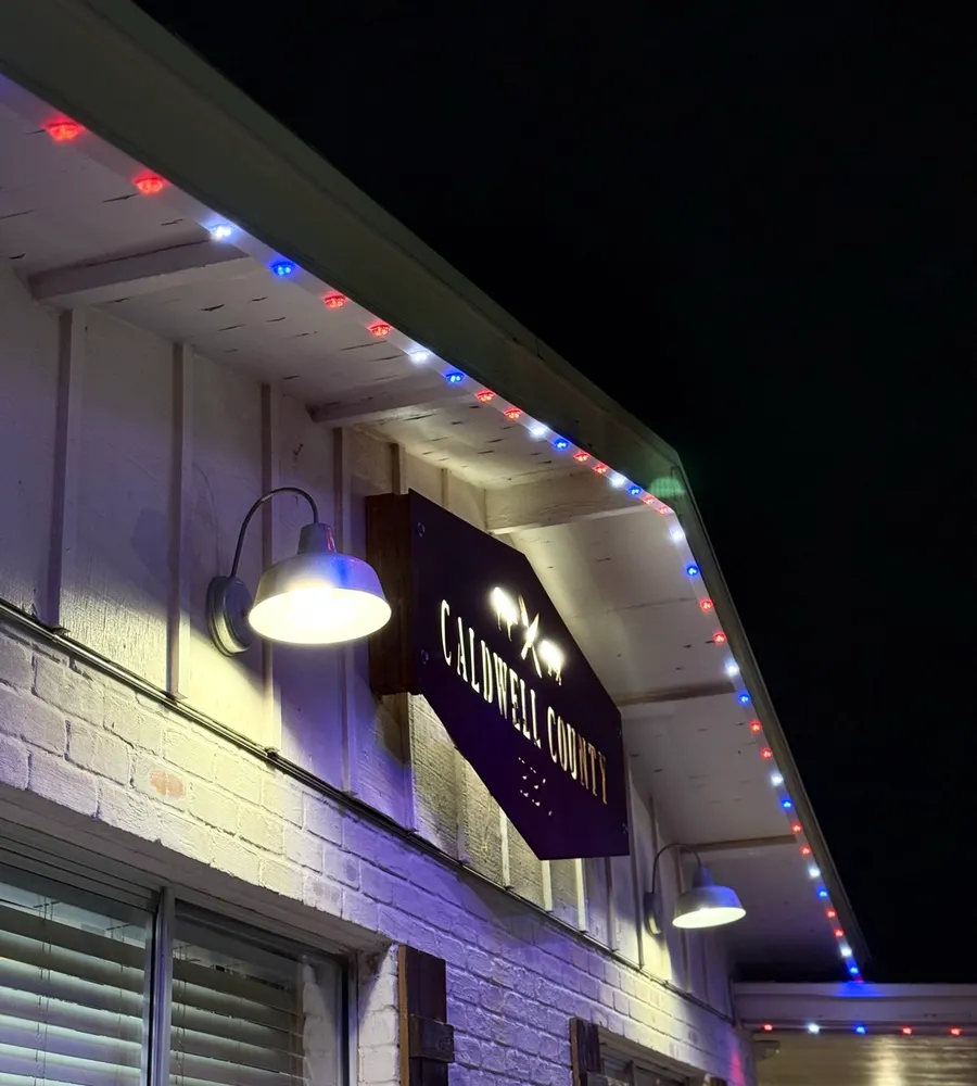 Commercial — brite bird permanent outdoor lighting