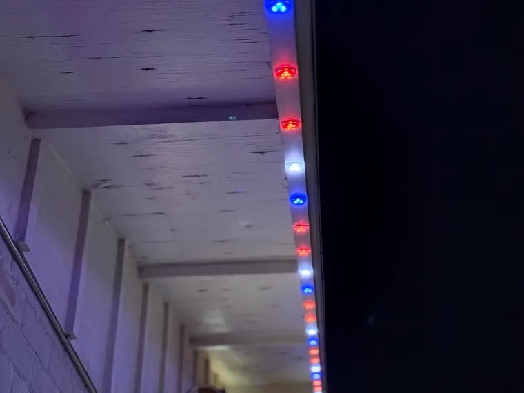 Commercial — brite bird permanent outdoor lighting