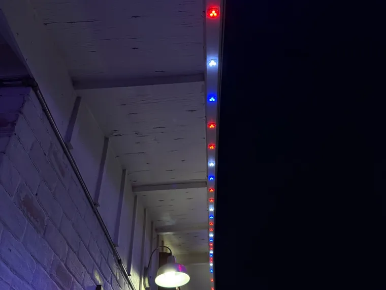 Commercial — brite bird permanent outdoor lighting