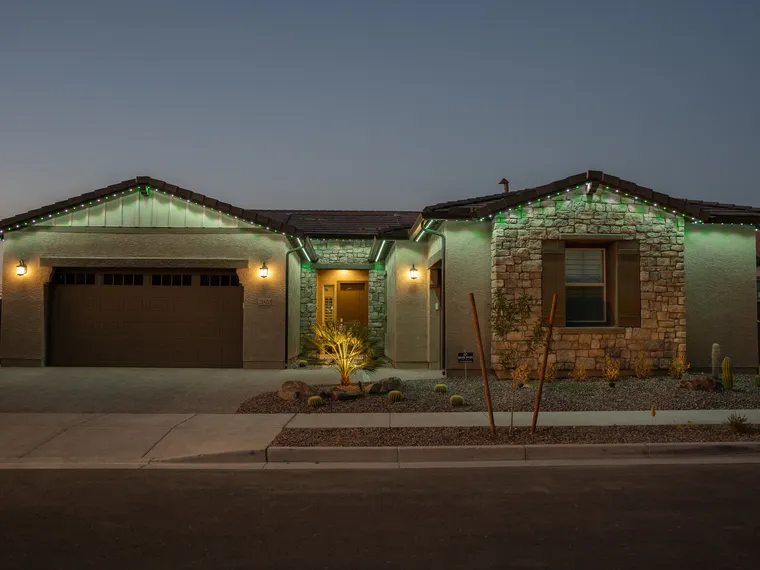 Holidays — brite bird permanent outdoor lighting